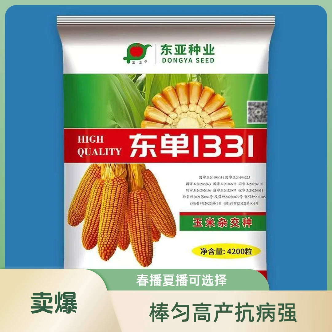 东单1331 全新升级抗旱耐密抗病抗倒棒匀高产4200粒 买十袋送一袋