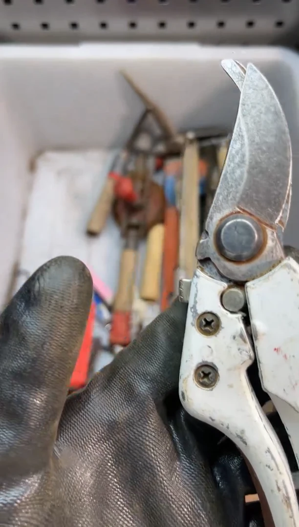 镁扭*柴阿古工具工具工具