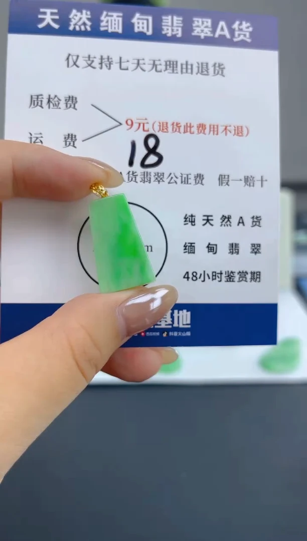 颈饰18K金镶嵌翡翠天然A货翡翠