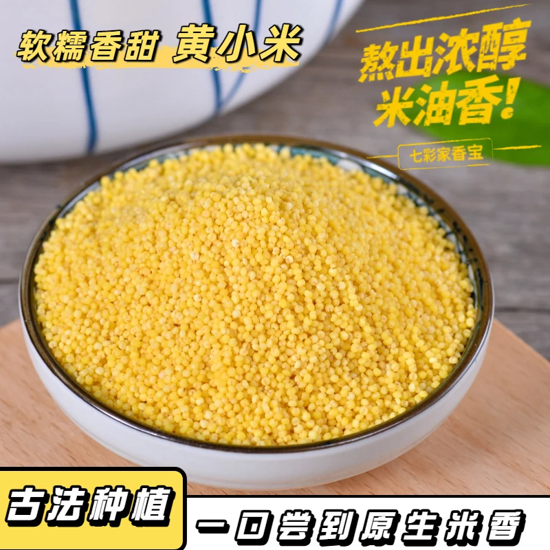 2025年现碾黄小米新米农家自种食品早餐熬粥米五谷杂粮金黄糯小米