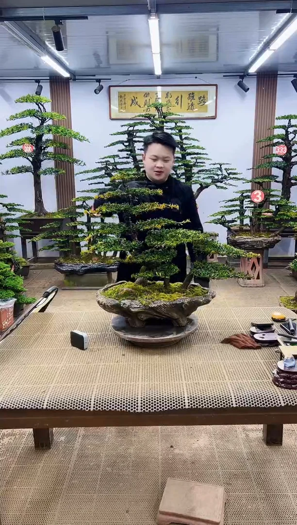 【闪购商品】000000000