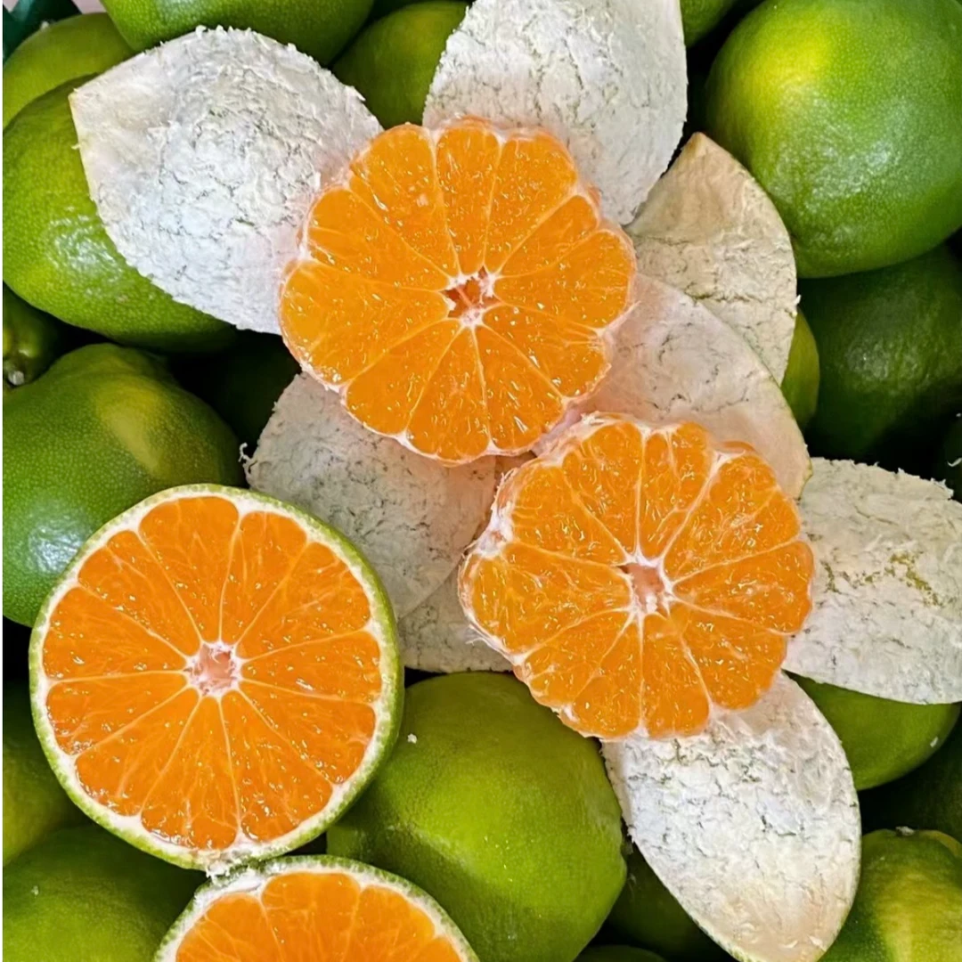 【湖南常德石门秀坪蜜桔】普通快递【大芬四号】【现采现发5/9斤装 】