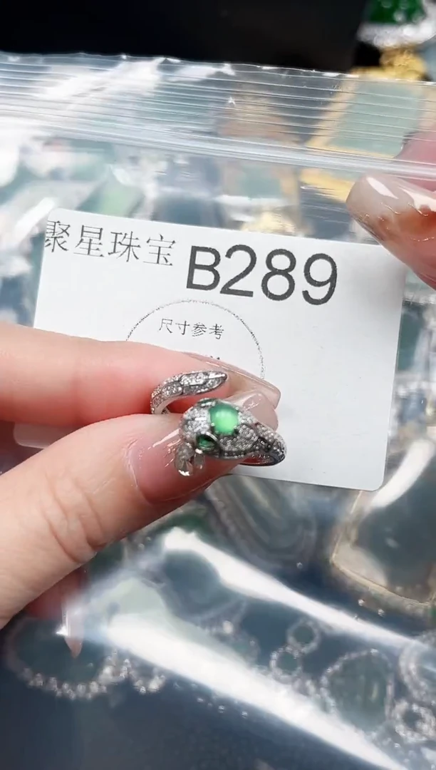 【闪购商品】翡翠颈饰未镶嵌赠皮绳289