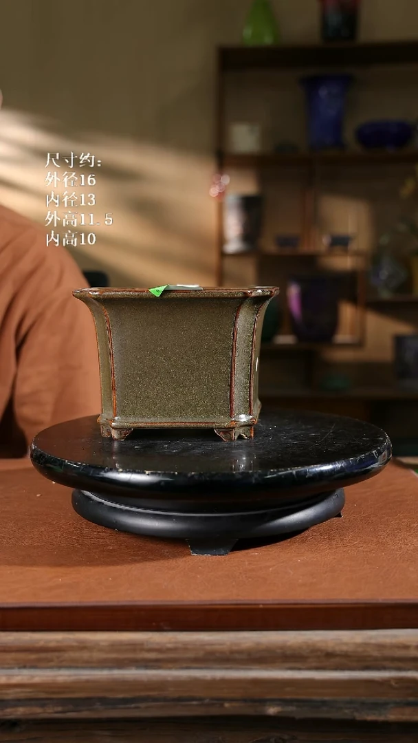 121      6寸倭角兰盆