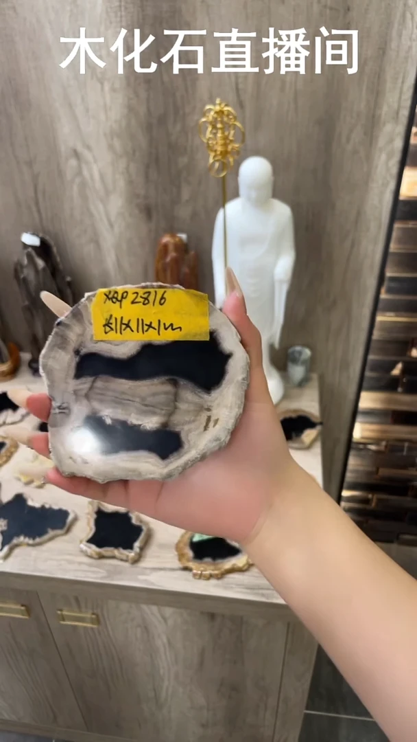 石材木化石杯垫一件