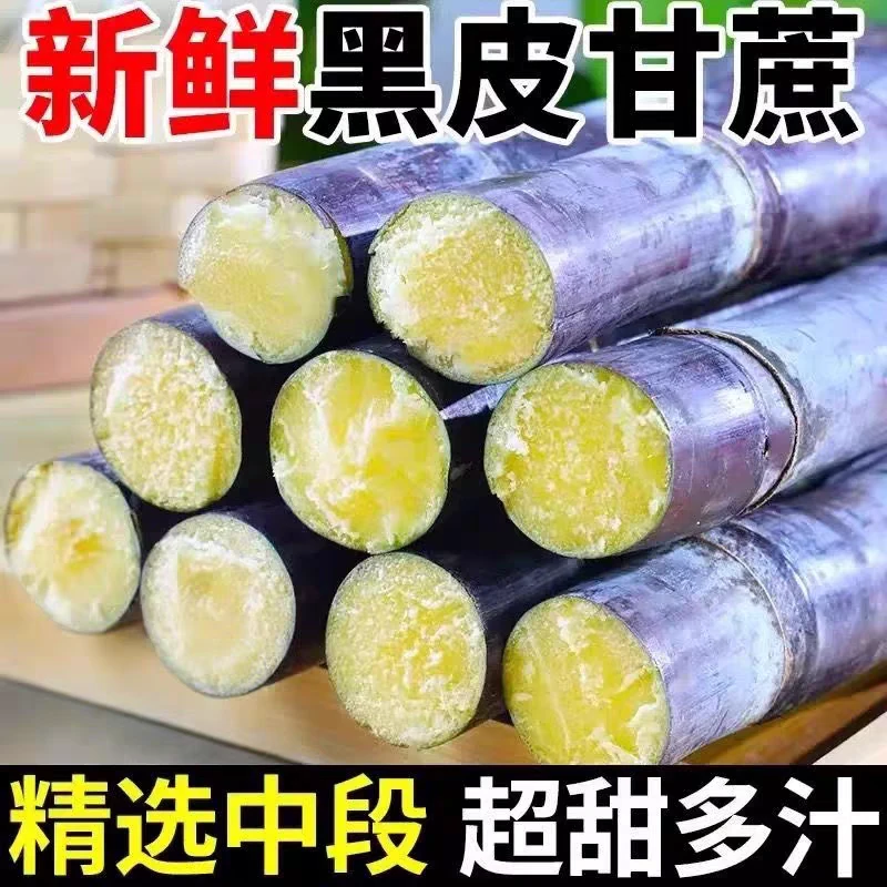 广西黑皮甘蔗新鲜水果应当季特产现砍现发脆甜孕妇果3-9斤清甜杆