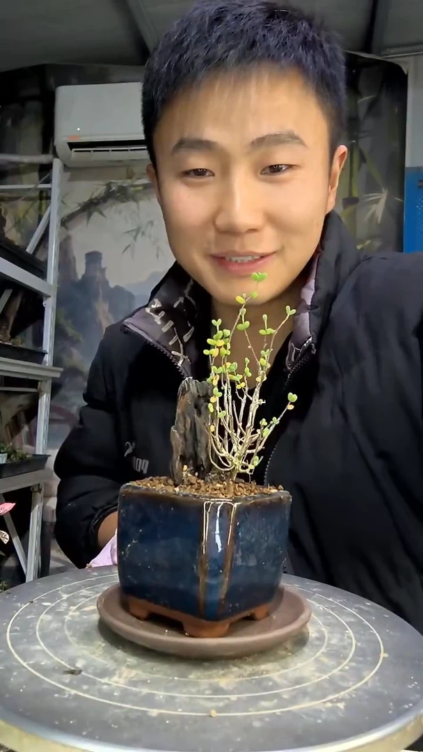 渝中青园艺一物一拍花186