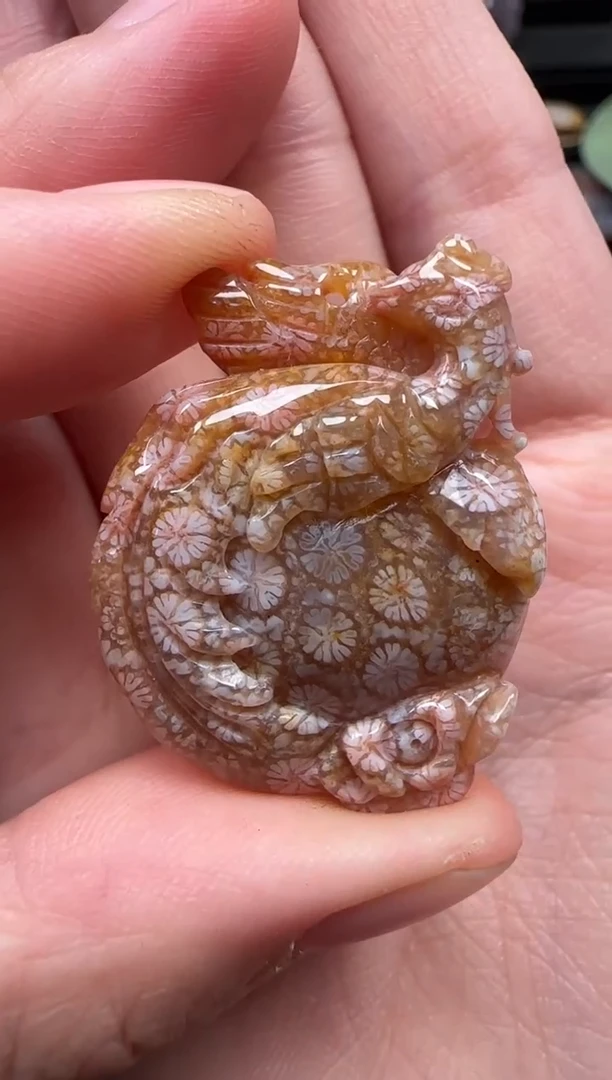 颈饰未镶嵌硅化珊瑚（珊瑚玉）371