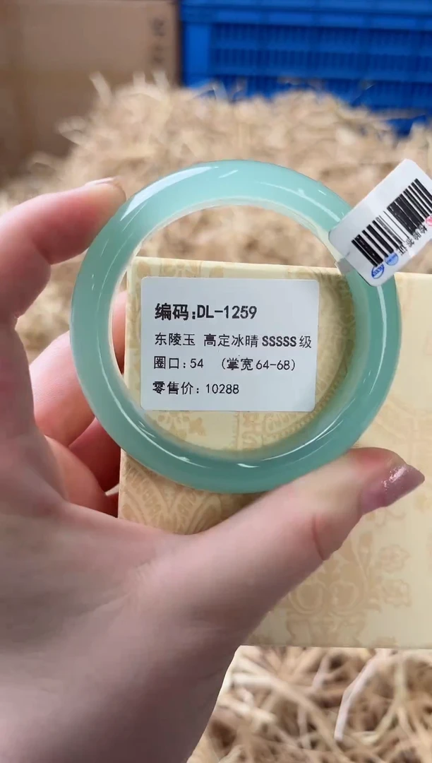 未镶嵌手镯石英质玉DL-1259