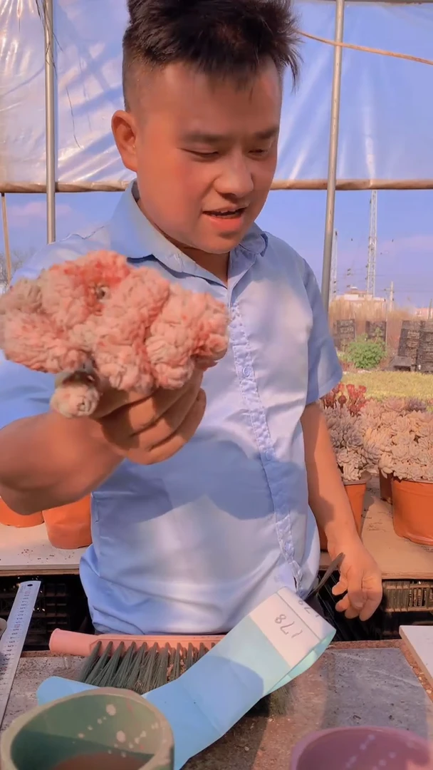 【闪购商品】缀化178