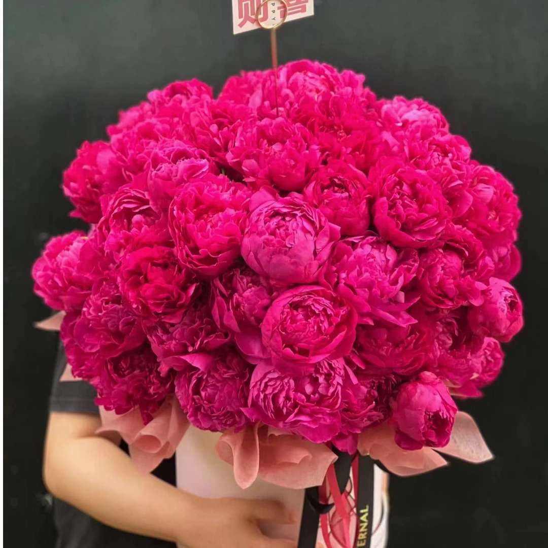 【盆栽 芍药花】 带芽 带土栽种好发货 菏泽产地直发