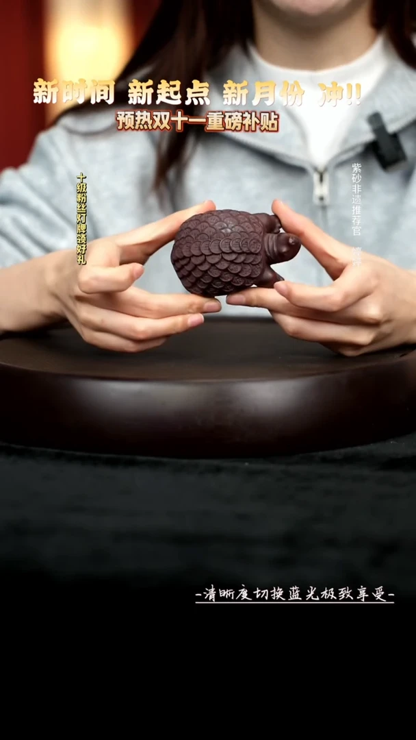 茶壶紫砂紫砂茶宠金钱龟
