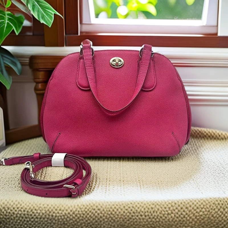 95新 COACH/蔻驰 手提单肩包 1193 4070