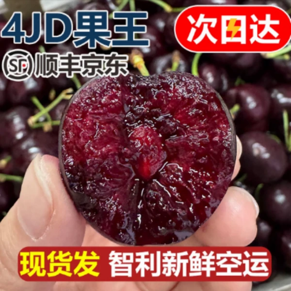 3JD大果黑车顺丰【今天拍明天到】智利空运车厘子新鲜宝宝孕妇水果内附果径卡800gXNY桑提娜樱桃智利共和国