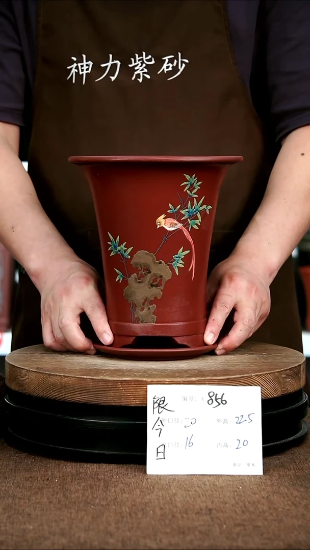 紫砂花盆花卉园艺856+Z