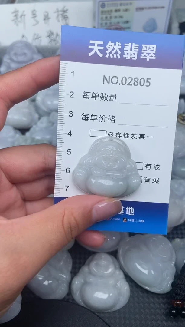 颈饰未镶嵌翡翠纯天然A货翡翠2805