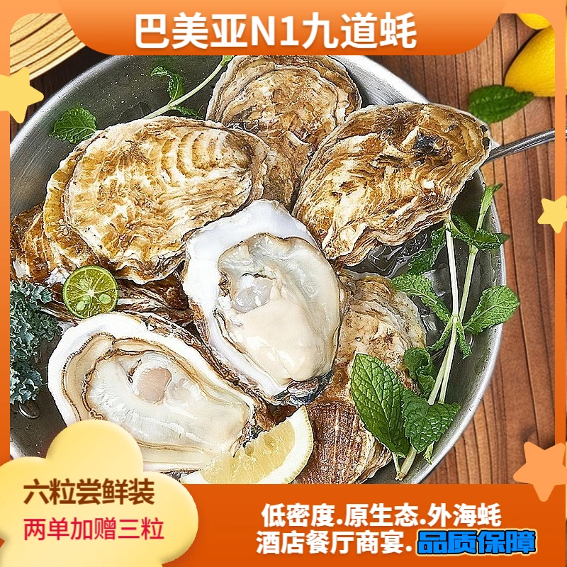 bameia/巴美亚尝鲜装.大连外海刺身级生蚝N1规格6粒 九道净化750G
