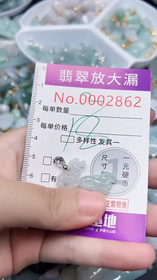 颈饰未镶嵌翡翠2862