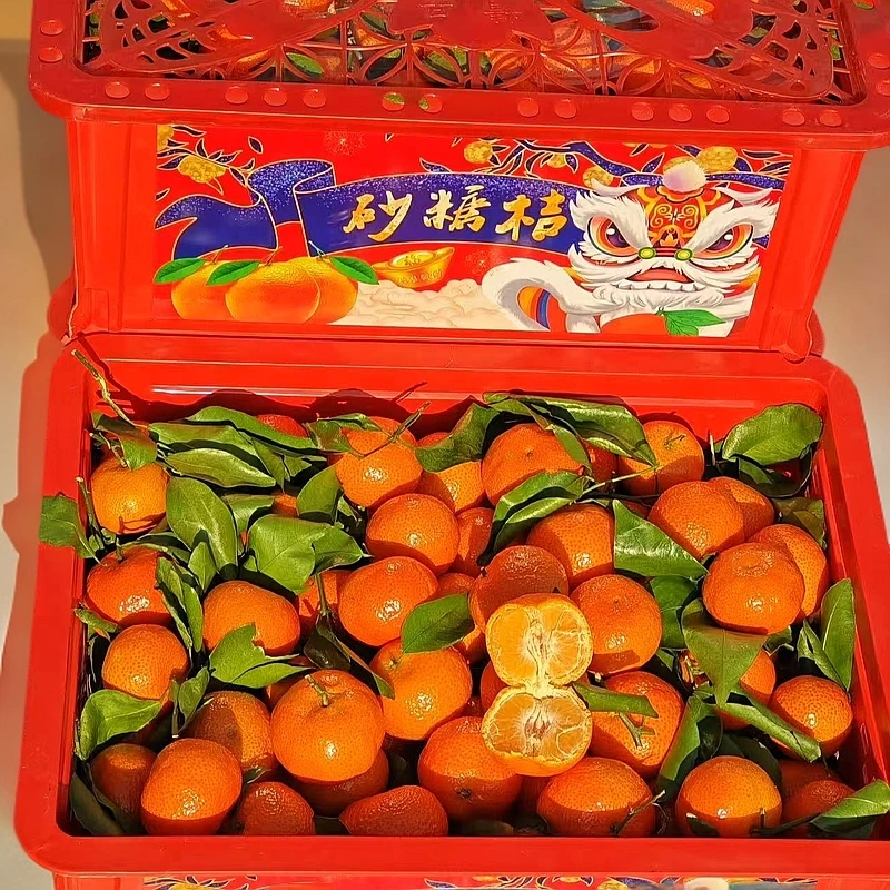 【云购鲜】精品筐装砂糖橘不低于8.5斤沙糖桔广西壮族自治区