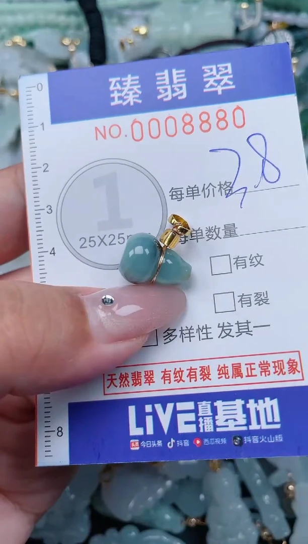 翡翠未镶嵌颈饰.0008880