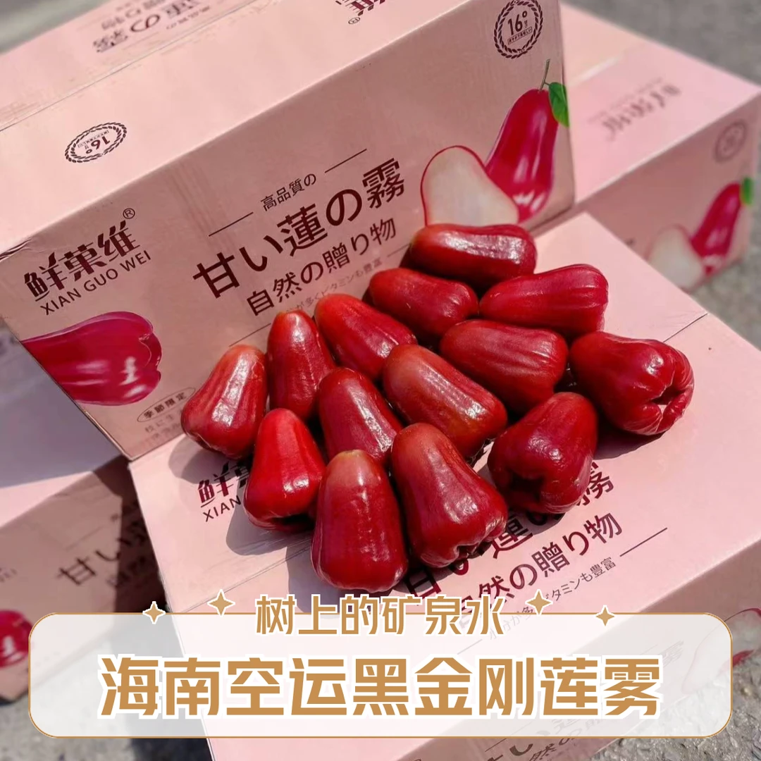 【甜甜宠粉 顺丰冷链】海南空运莲雾 黑金刚莲雾 树上的矿泉水 清甜多汁礼盒3.5斤装新鲜