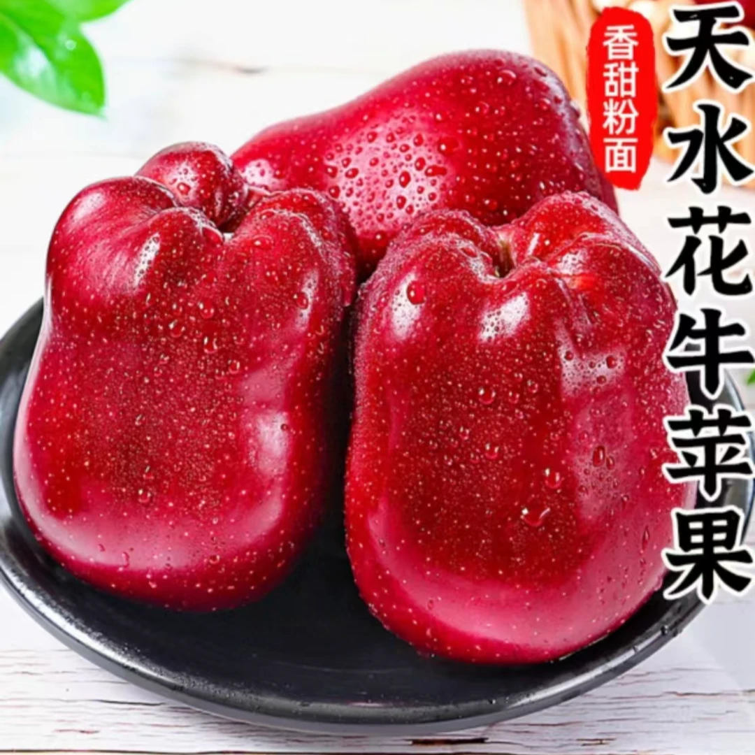 【现摘现发】甘肃天水高山花牛苹果新果ZXM
