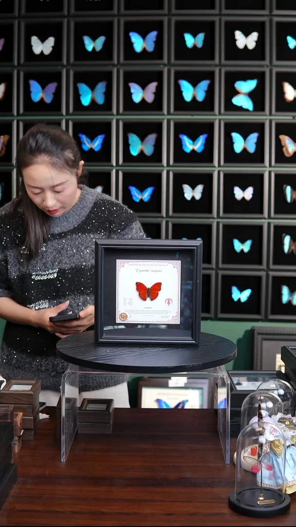 血漪蛱蝶新版本星座款