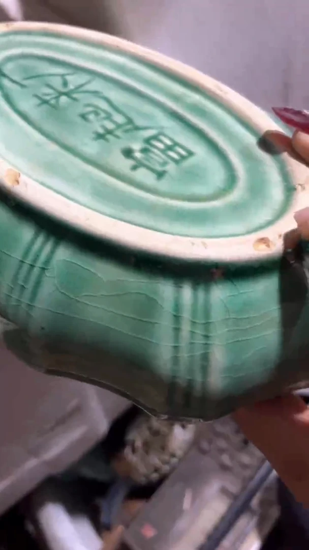 善**焉8764646466465646465