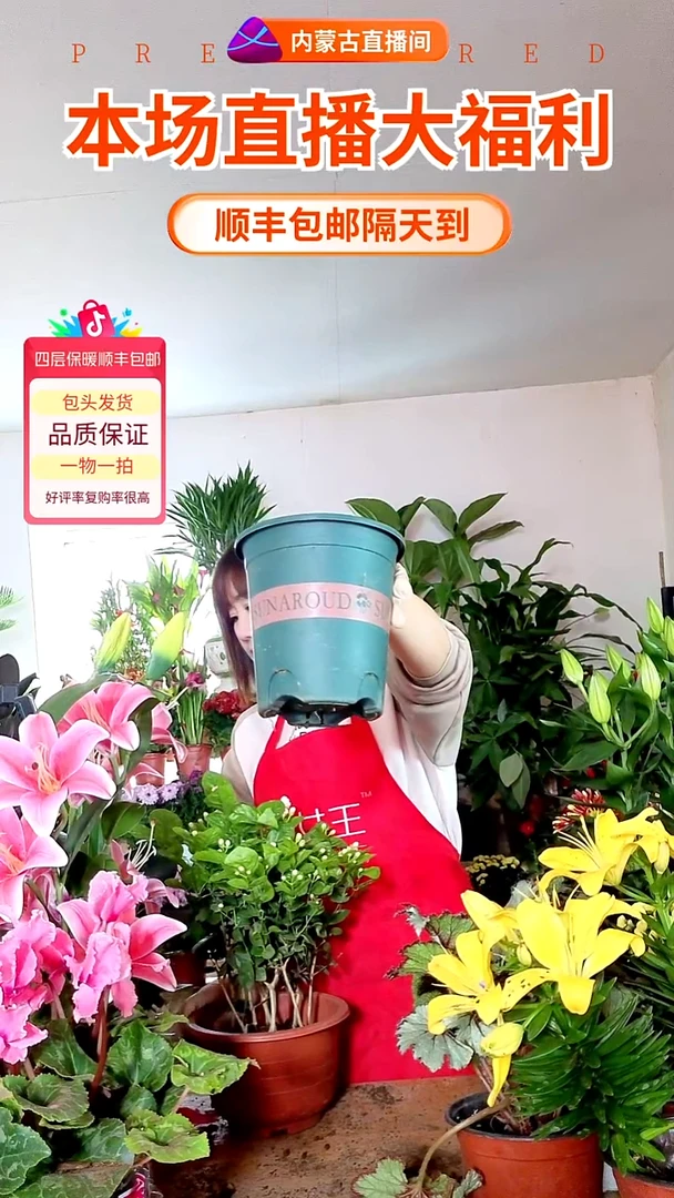 完全开放加仑盆顺丰包邮