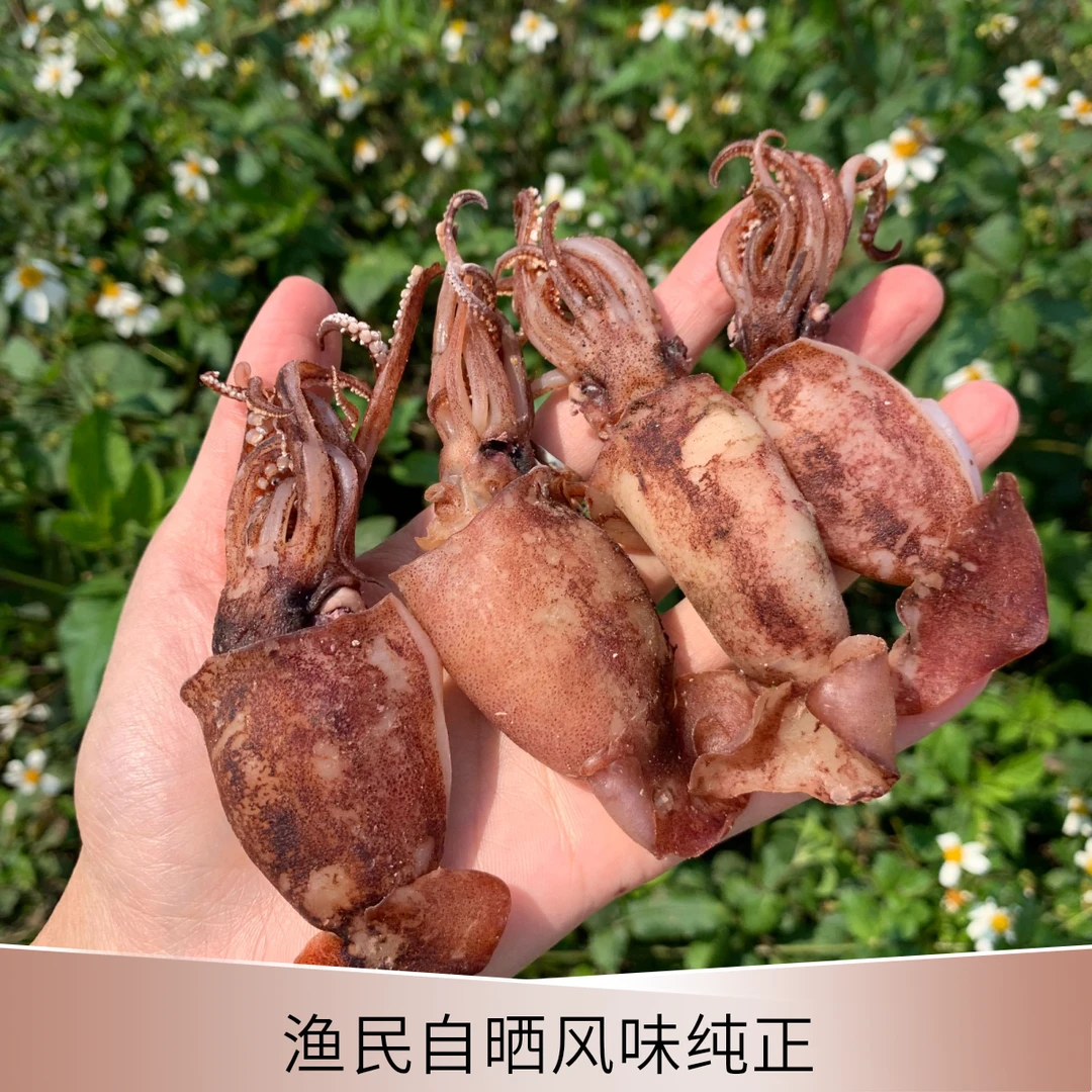 渔民自晒鱿鱼开肚片