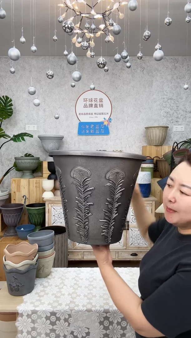 鱼骨盆6只只只只