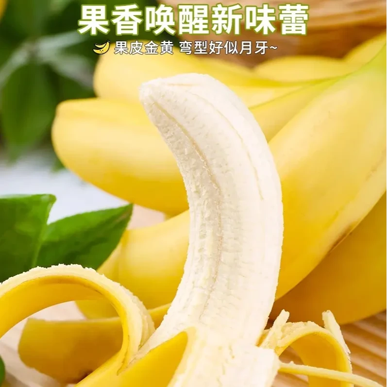 Y【净重5斤】广西高山香蕉绿皮香蕉软自然熟当季新鲜季青皮水果包邮