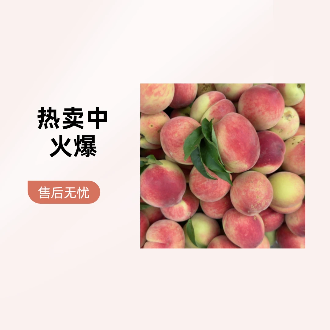 毛桃 约500g本地水蜜桃嘎嘎脆安徽省
