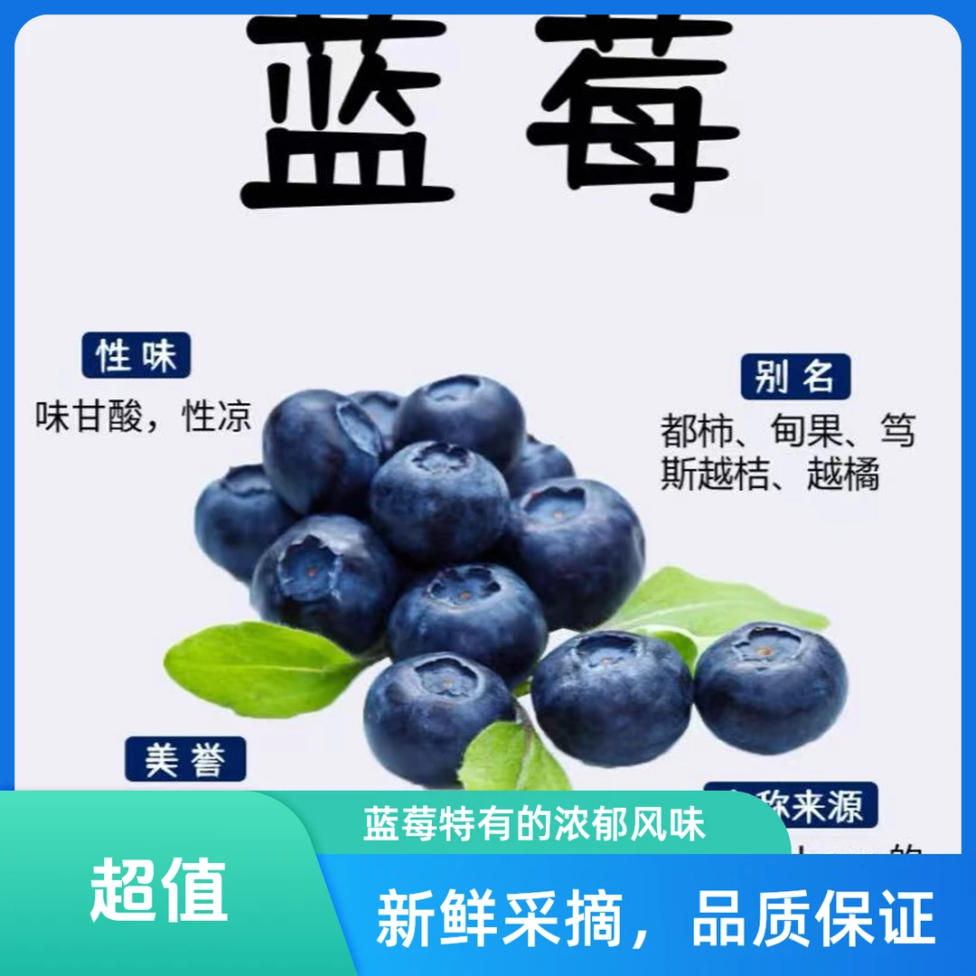 【中柏瑞小时达】蓝莓 爆浆甜脆 护眼神器单果15mm+ 500g/盒云南省
