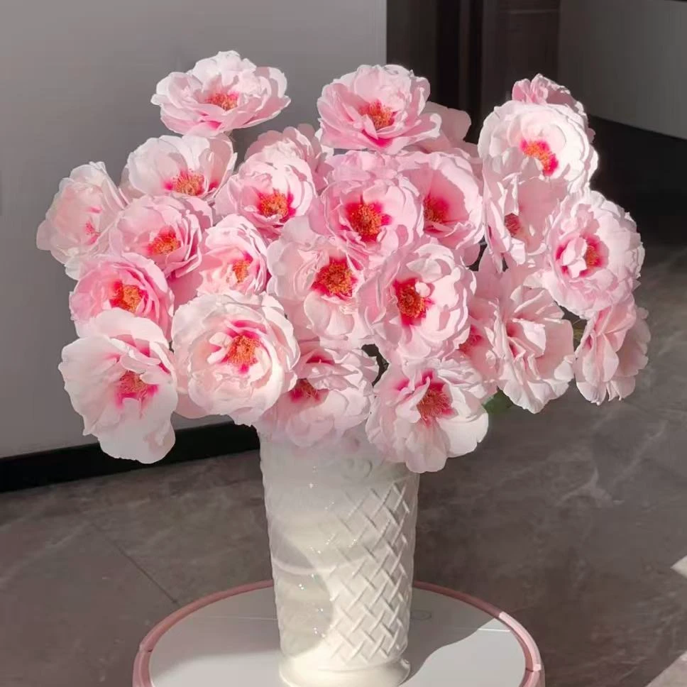 【陌上花开】多头本心-稀有多头玫瑰（收到请带包装醒花）