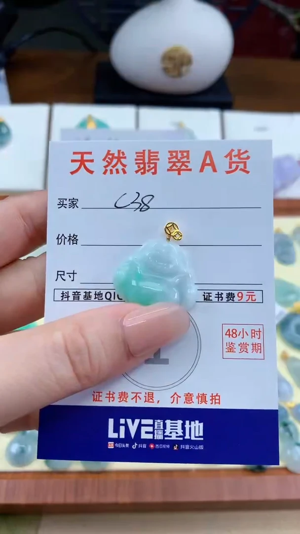 颈饰未镶嵌翡翠天然A货翡翠挂件