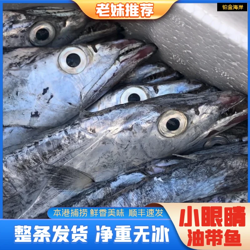 【老妹海鲜】大号冷水小眼睛油带鱼整条新鲜直播净重4斤8-9条