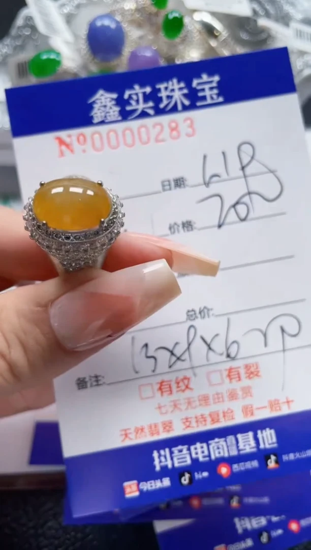 【闪购商品】翡翠颈饰未镶嵌/02830000
