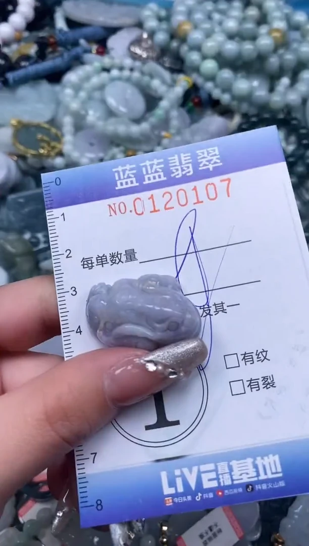 【闪购商品】翡翠颈饰未镶嵌闪购0120107