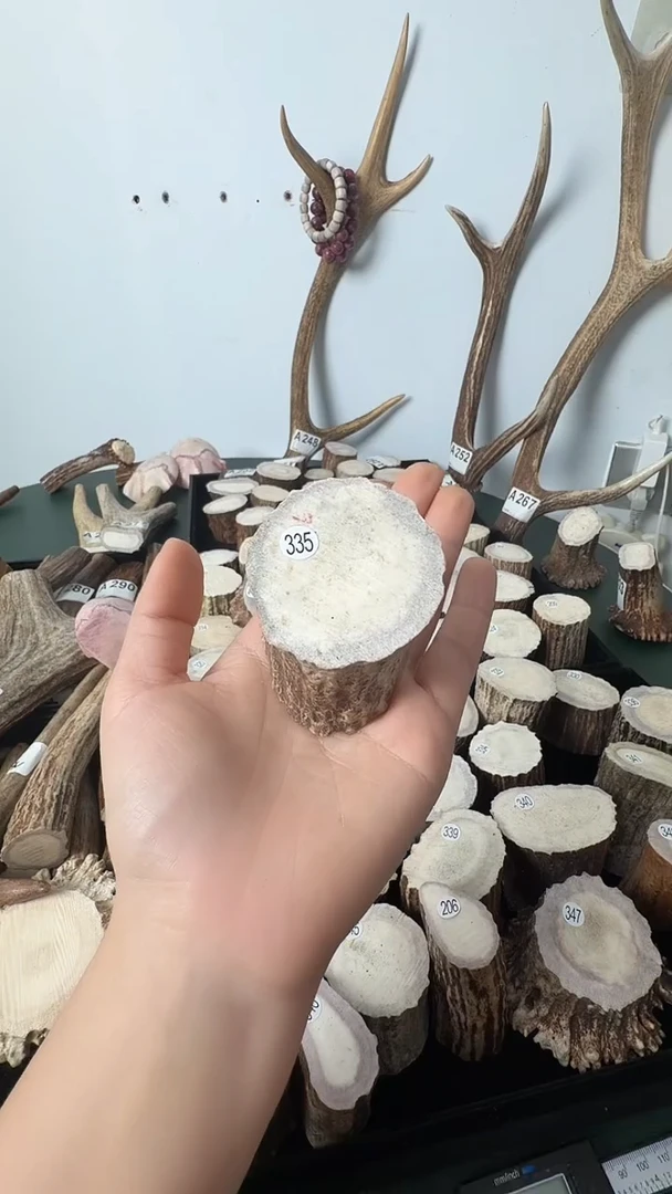 原皮鹿角雕刻料高密度