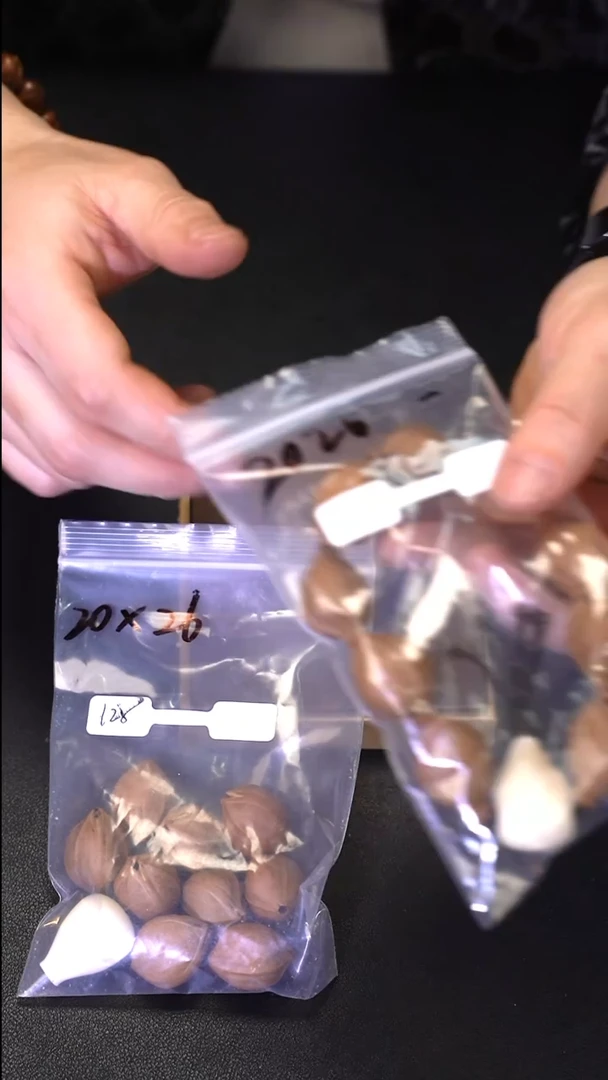 手串/手链橄榄核......2026梅林铁核