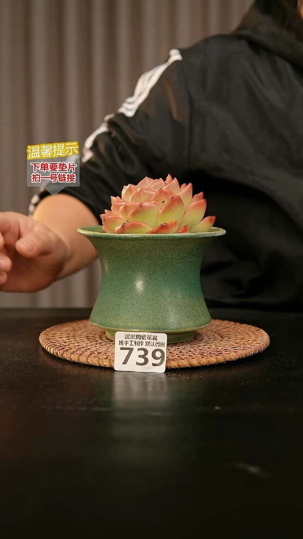 瓷片739内口径约11-12  外高约8-9