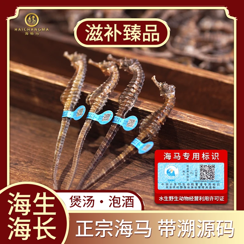 「热销福利款」A级 正宗 海马干货 公母配对 带溯源码 煲汤泡酒专用