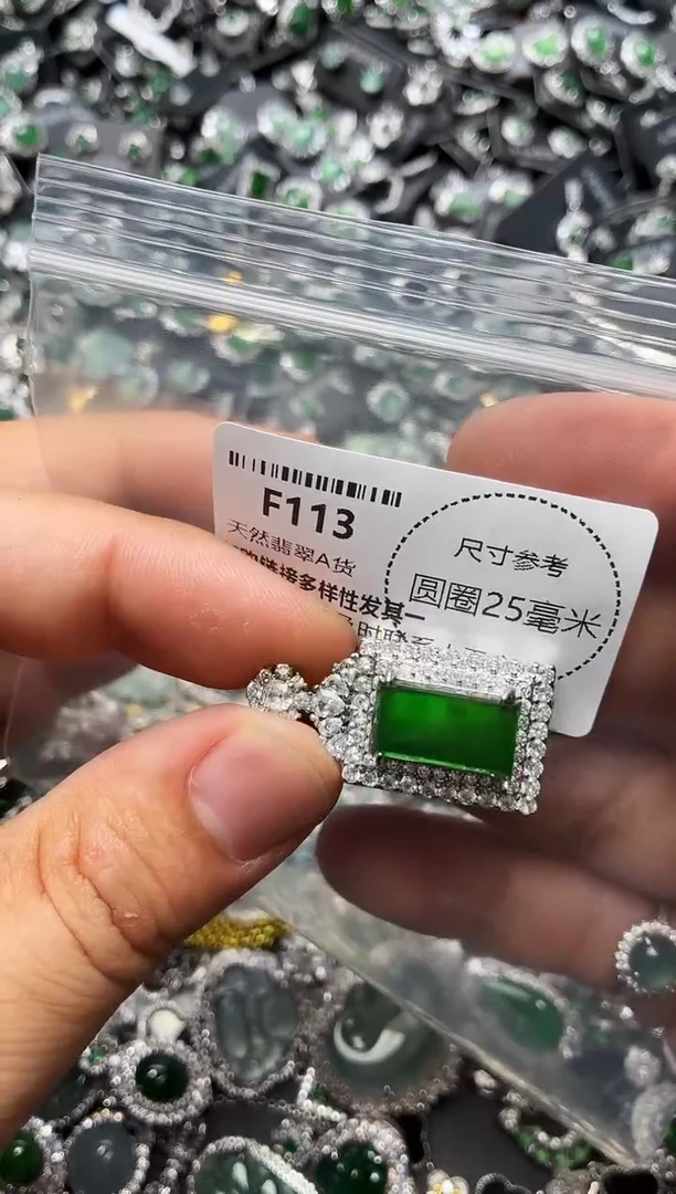 翡翠未镶嵌颈饰F113吊坠