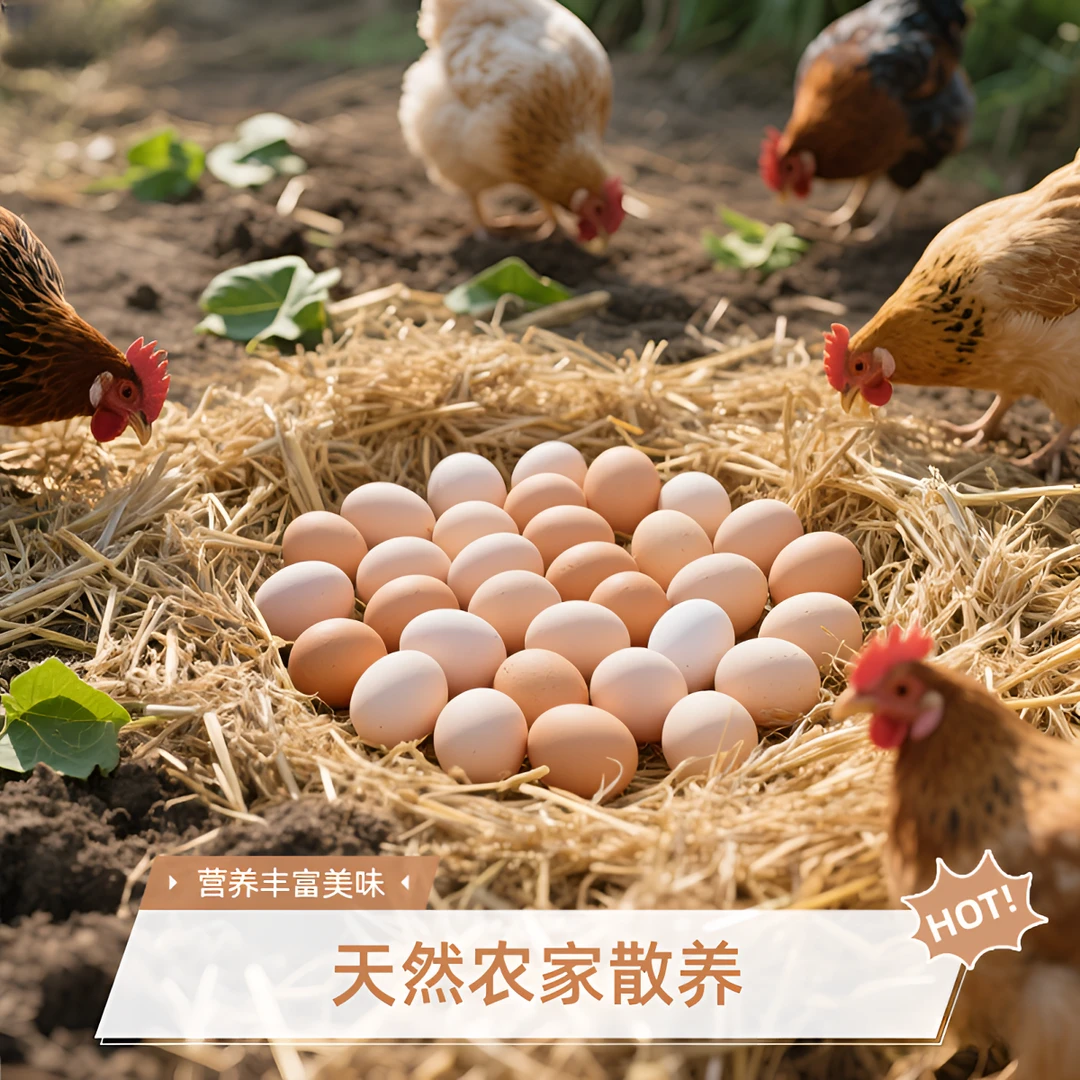 农家散养正宗新鲜土鸡蛋山林五谷喂养适合孕妇食用月子蛋40g/枚