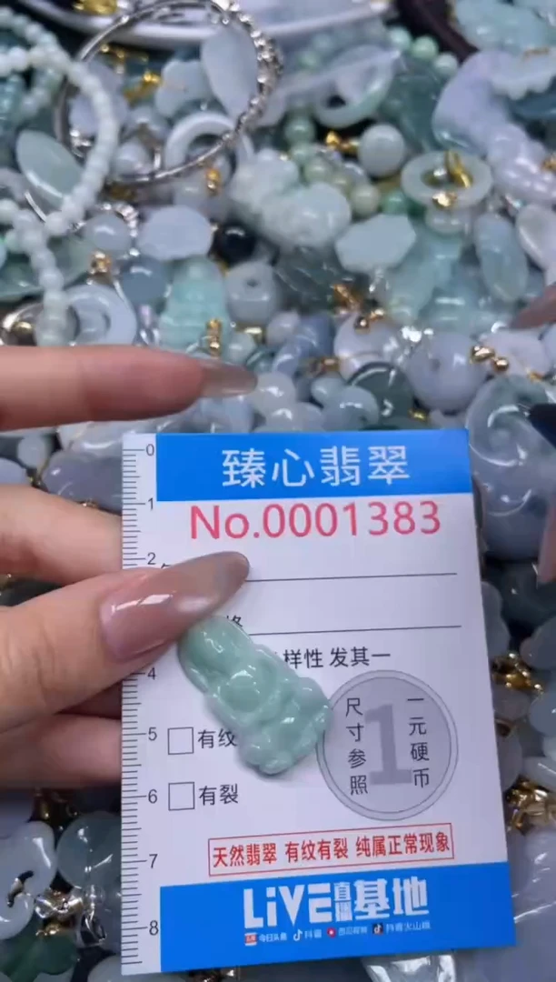 颈饰未镶嵌翡翠1383