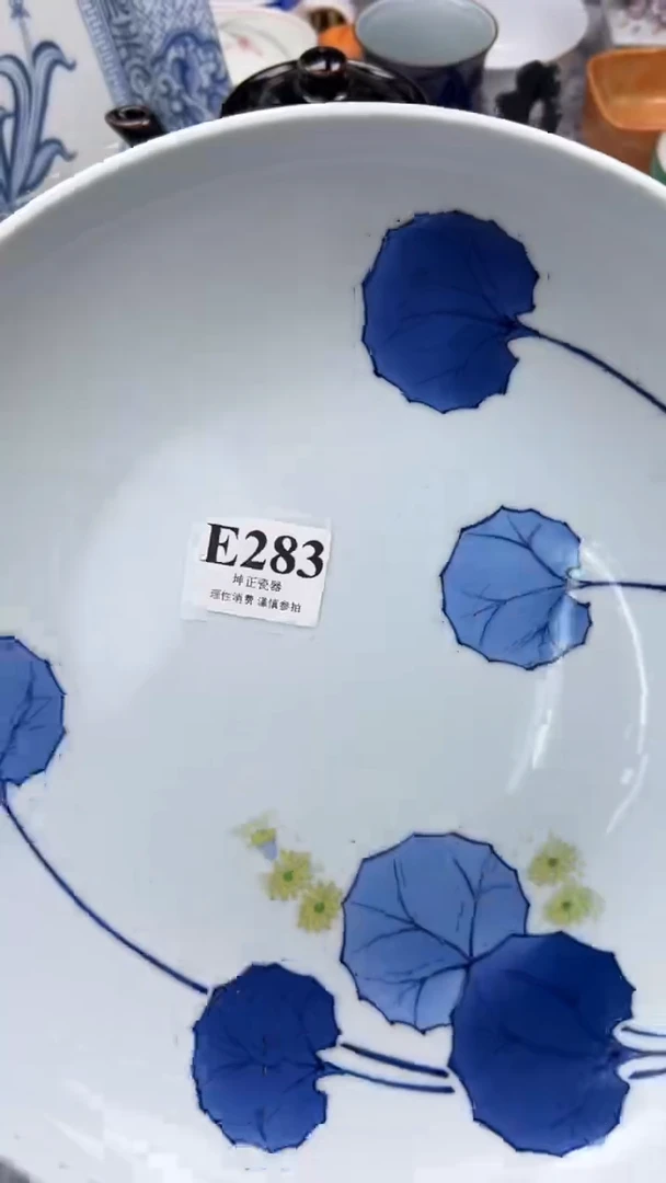 瓷片          E283