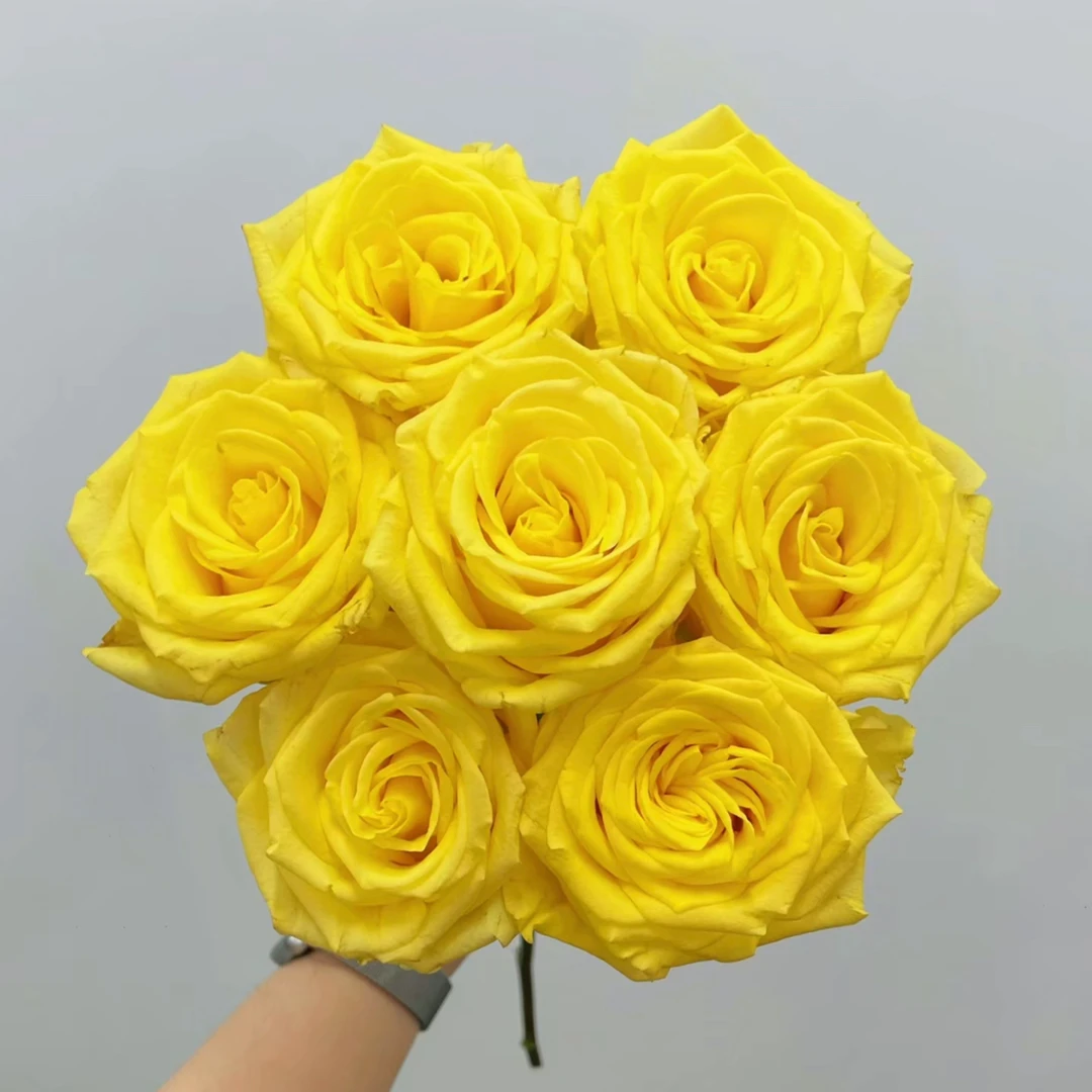 鲜花【金枝玉叶】家庭同地址两单京东或德邦送货上门+配草1扎