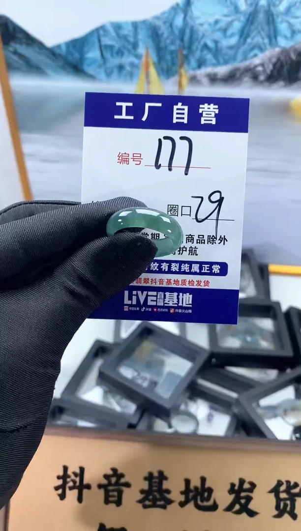 未镶嵌戒圈翡翠177
