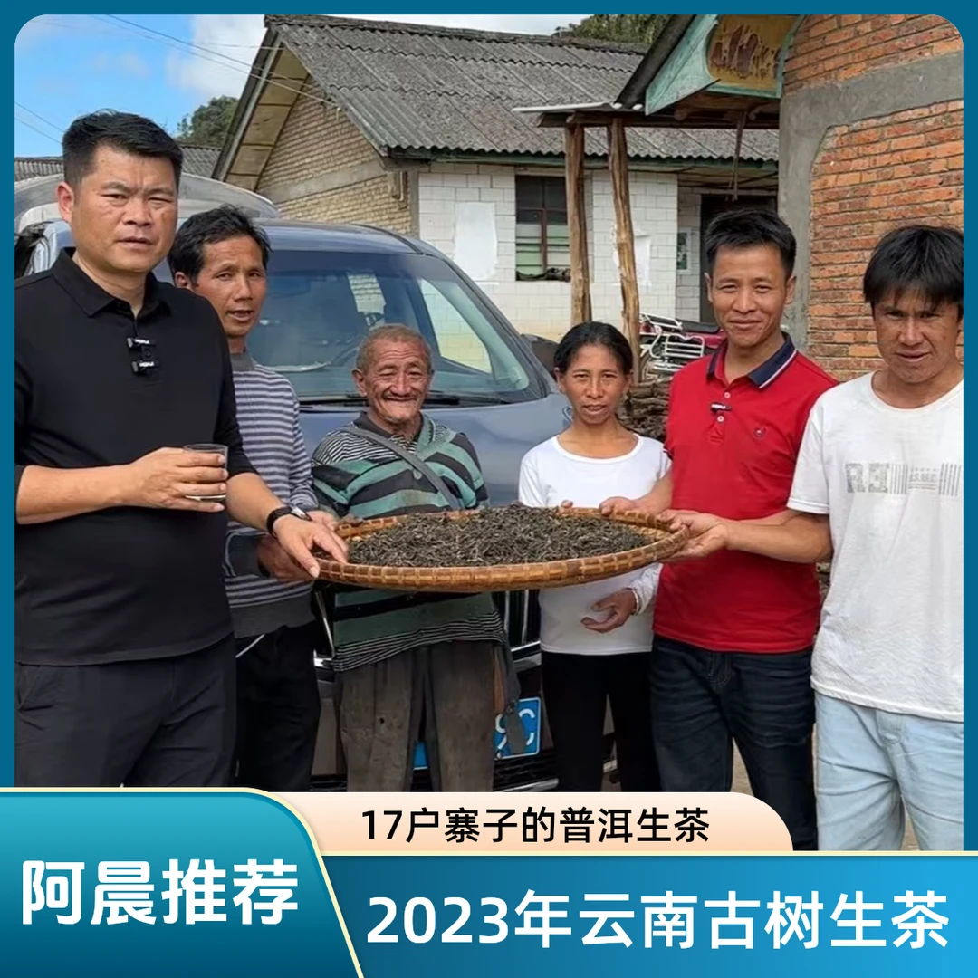 【普洱老家阿晨优选】17户寨子的普洱生茶 2023年普洱古树春茶生